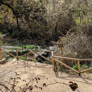 Ruta Sierra de Mariola nacimiento del Río Vinalopó