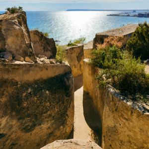 Ruta por vía verde, meditación y bienvenida al nuevo año en Serra Grossa (Alicante)